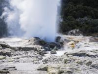Extension: Rotorua geyser